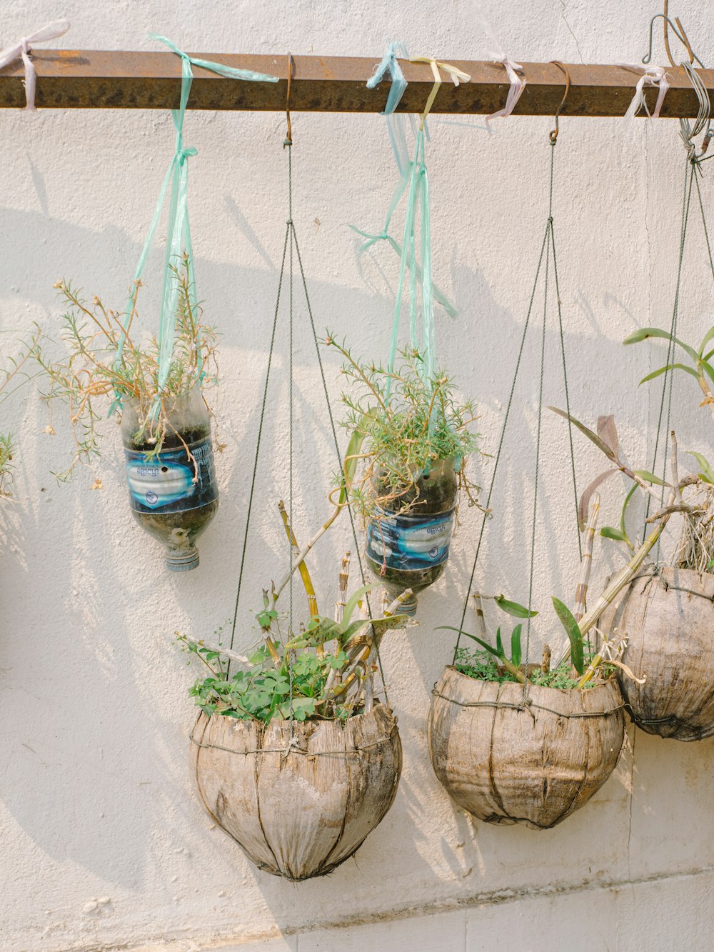 a group of hanging planters filled with plants
