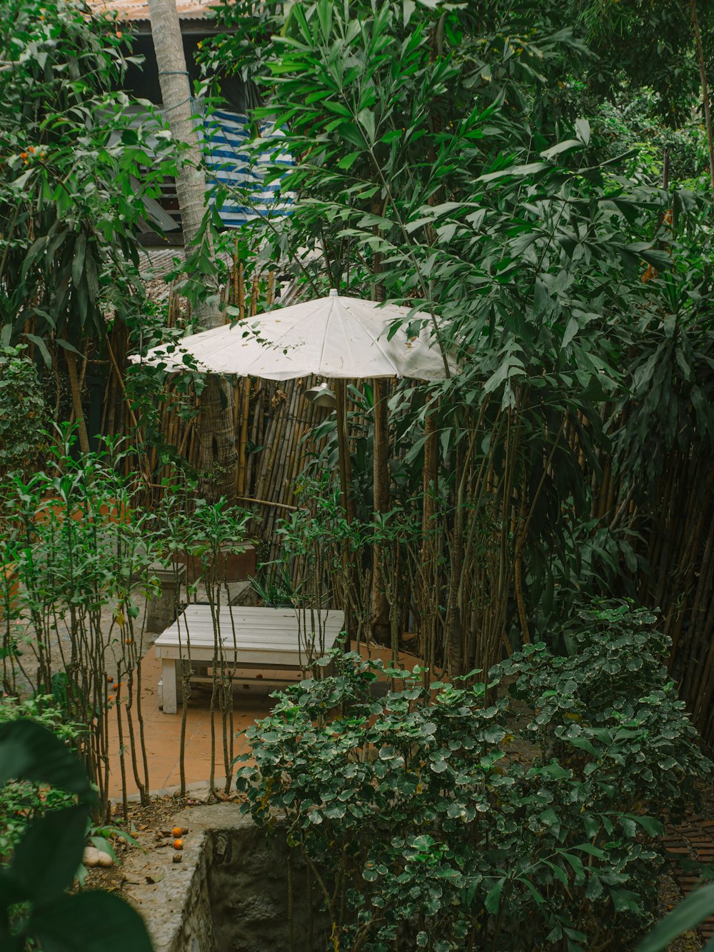 a white umbrella sitting on top of a lush green forest