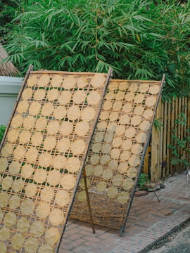 Two bamboo drying racks are positioned outdoors, each covered with round pieces of flatbread or rice crackers aligned in a grid pattern. Behind the racks, lush green bamboo plants create a natural backdrop. The ground is made of brick paving, adding a rustic atmosphere to the scene.