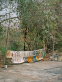 A collection of colorful paintings and prints are displayed in an outdoor setting, hanging from a rope tied between trees. The artwork includes various styles such as abstract, portraits, and cultural themes. The setting is natural, with trees and greenery around, and the ground is paved with stones.