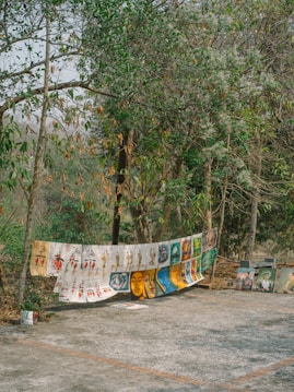 A collection of colorful paintings and prints are displayed in an outdoor setting, hanging from a rope tied between trees. The artwork includes various styles such as abstract, portraits, and cultural themes. The setting is natural, with trees and greenery around, and the ground is paved with stones.