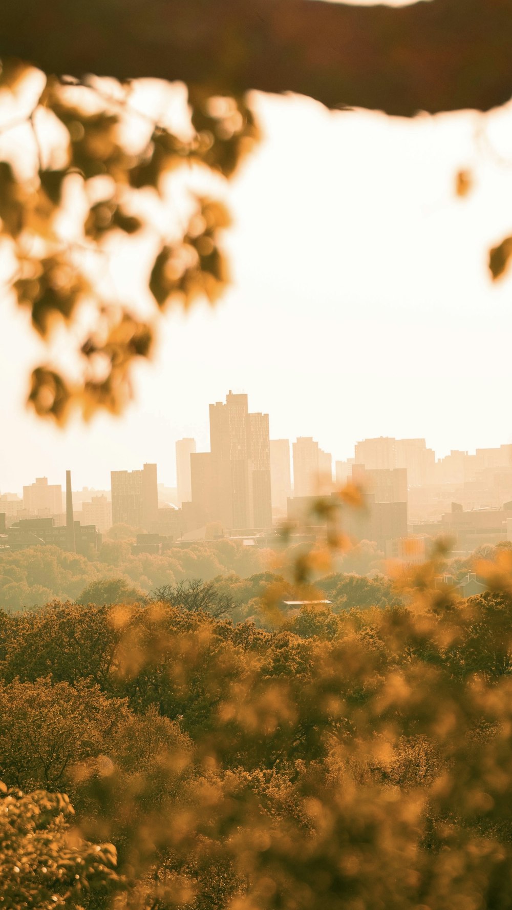 a view of a city from a hill