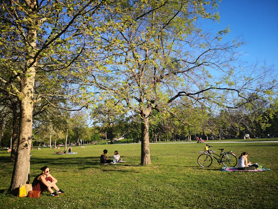 A sunny weekend scene of families enjoying yoga and picnics in a lush community park.