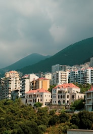 a view of a city with mountains in the background
