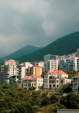 a view of a city with mountains in the background