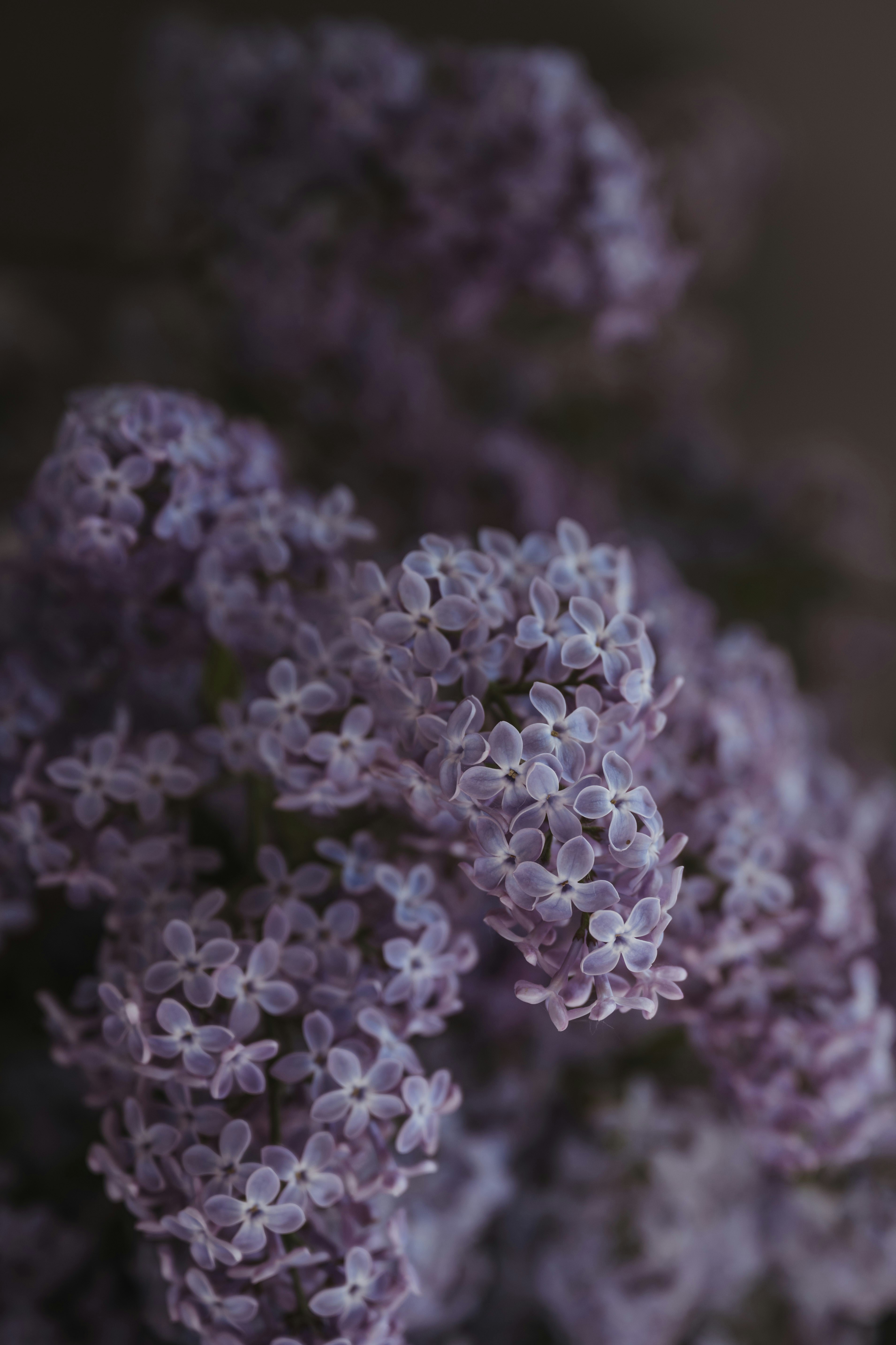 Photo by anitaaustvika