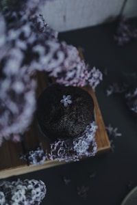 Lavender Dream