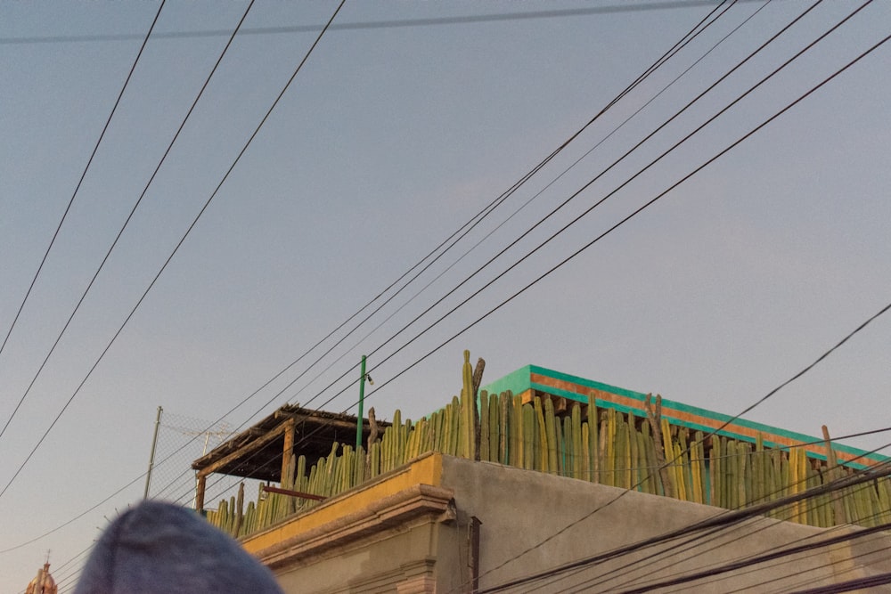 a building with a roof covered in bamboo