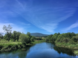 A serene river flows gently through lush greenery with a clear blue sky overhead. Trees line the riverbanks, and a distant hill rises under the vast sky. The setting is peaceful and natural, perfect for relaxation.