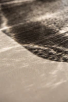 Abstract composition of shadows and light on a textured surface.