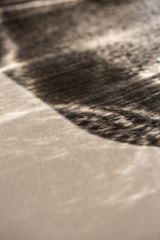 A detailed shot of textured surfaces blending light and shadow.