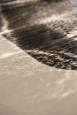 Close-up of a vibrant painting capturing the interplay of shadows and light.