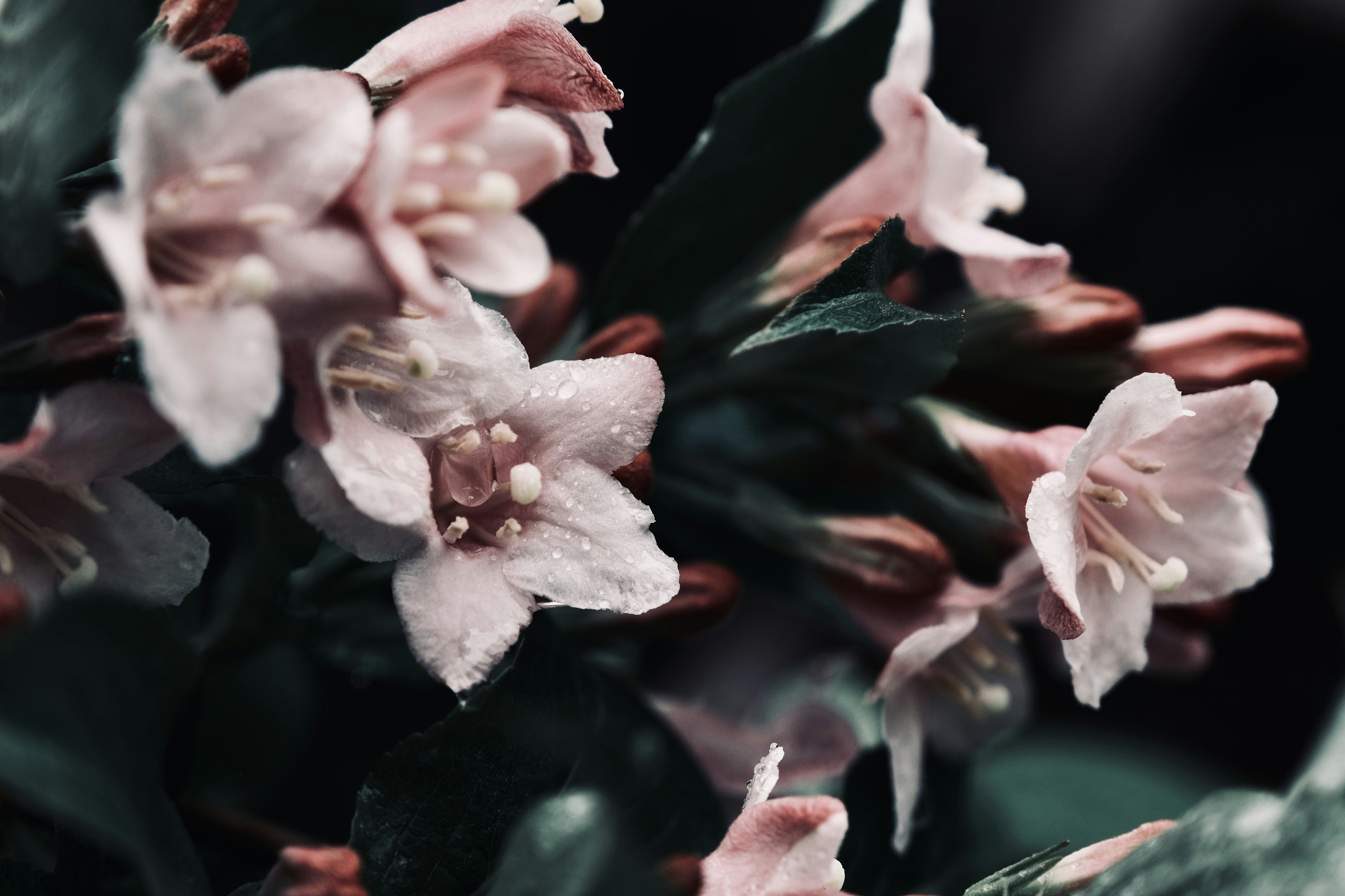 Photo by mkrawczynski