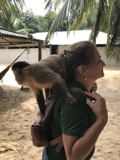 A person stands with a capuchin monkey on their back, set in a tropical outdoor location with sandy ground and palm leaves overhead. There is a wooden structure with a tin roof in the background.