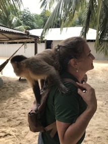 A person stands with a capuchin monkey on their back, set in a tropical outdoor location with sandy ground and palm leaves overhead. There is a wooden structure with a tin roof in the background.