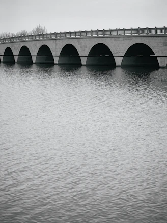 a black and white photo of a bridge over water