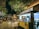 A food truck named 'Bitter Sweetie' is parked under illuminated tree branches decorated with hanging lights. People are gathered around in the open area, with some walking and others looking at their surroundings. The scene is set at night, creating a lively atmosphere. The food truck has a yellow exterior with lit signage and a punchy quote displayed on it. To the side, there are payment machines attached.