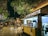 A food truck named 'Bitter Sweetie' is parked under illuminated tree branches decorated with hanging lights. People are gathered around in the open area, with some walking and others looking at their surroundings. The scene is set at night, creating a lively atmosphere. The food truck has a yellow exterior with lit signage and a punchy quote displayed on it. To the side, there are payment machines attached.