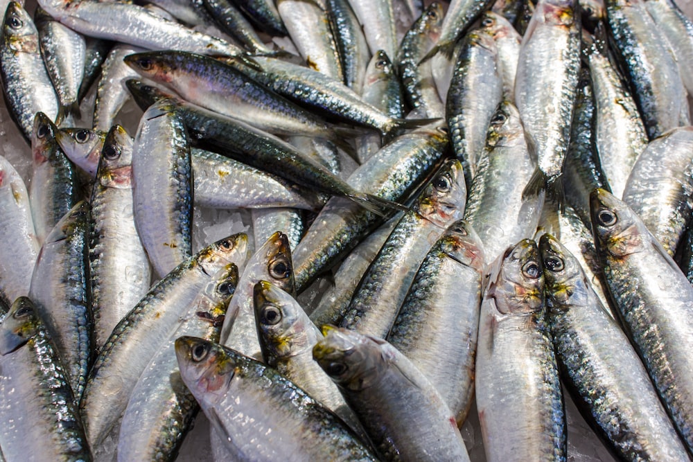 a bunch of fish that are on a table