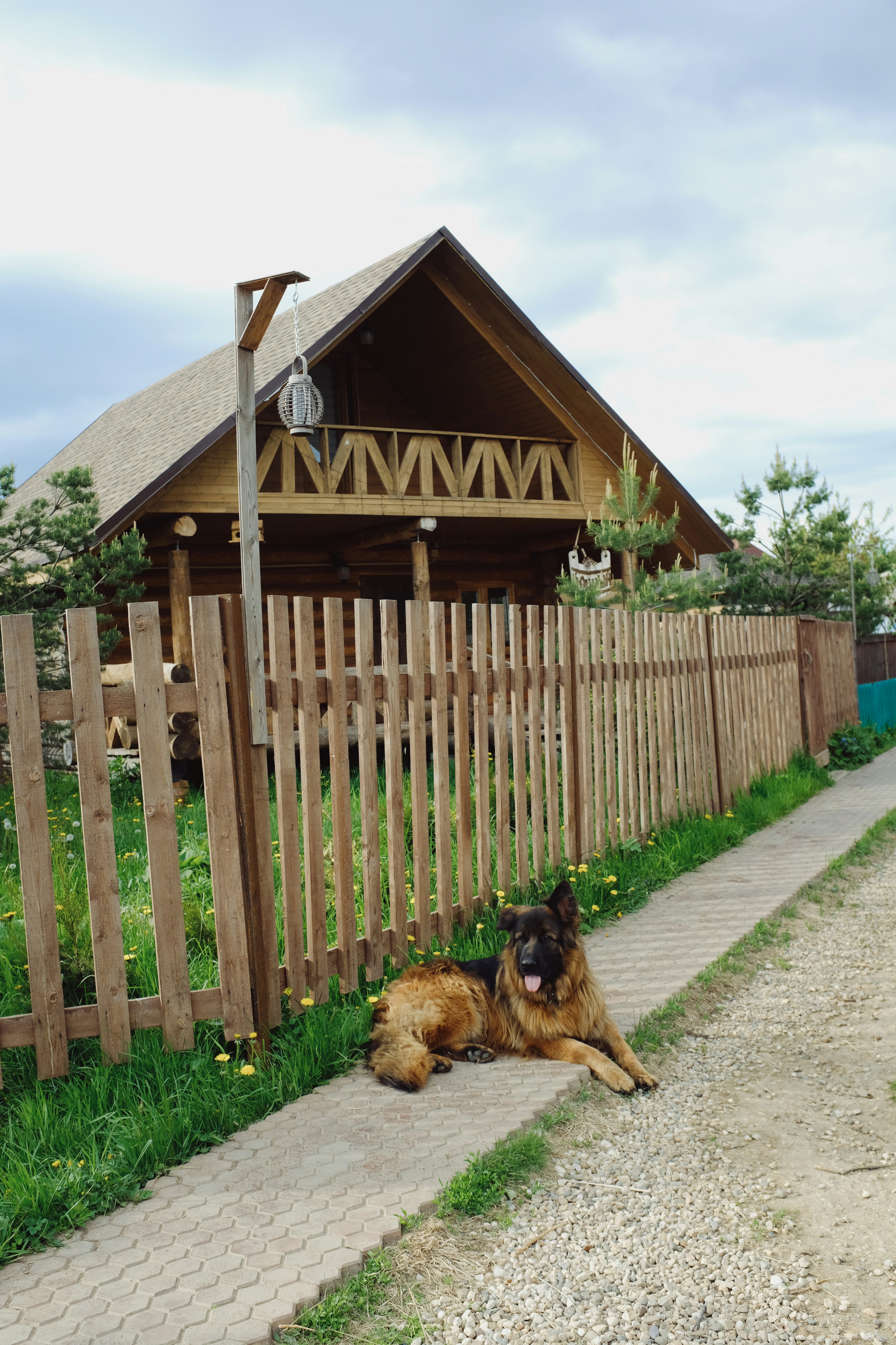 a dog laying on the ground next to a wooden fence