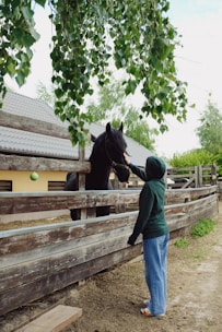 a person petting a horse in a corral