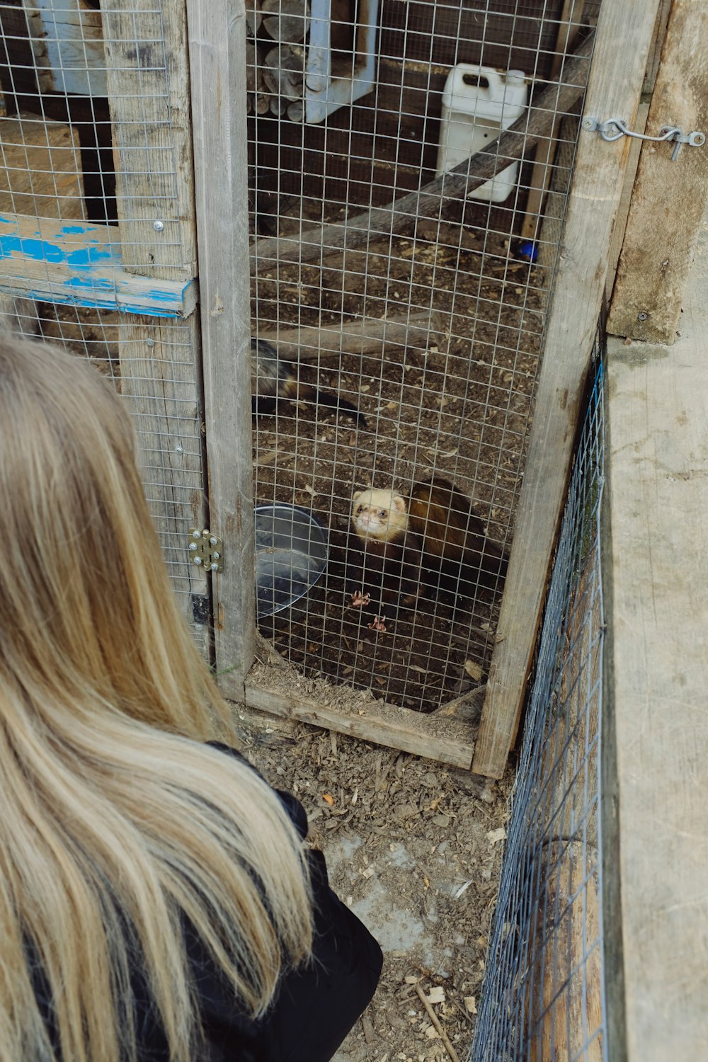 a woman looking at a chicken in a cage