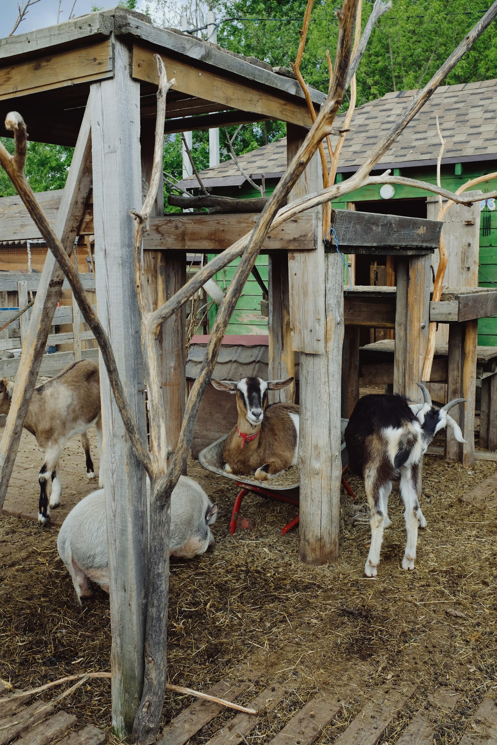 woman wearing yellow long-sleeved dress under white clouds and blue sky during daytime