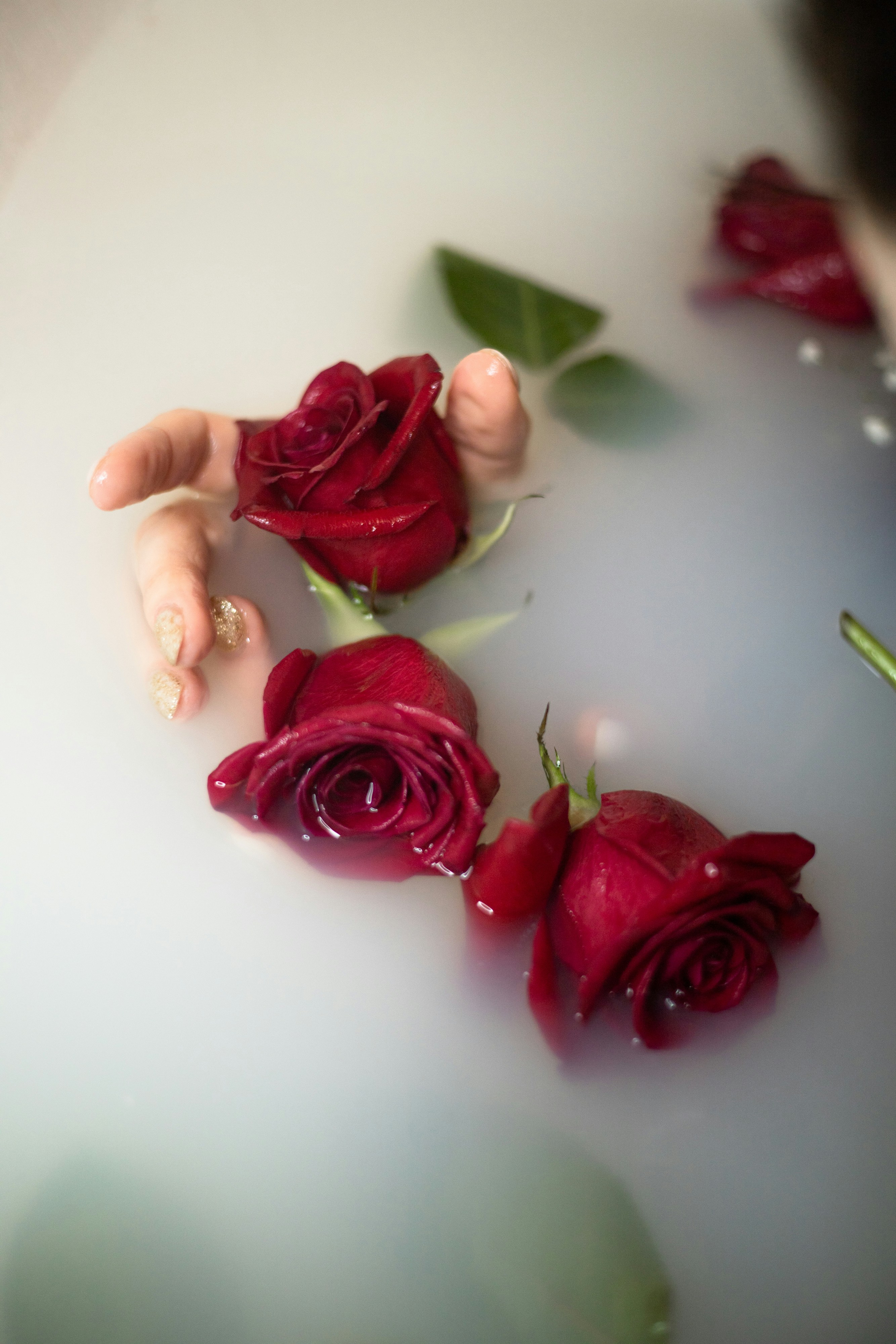 Photo by korobovaphoto