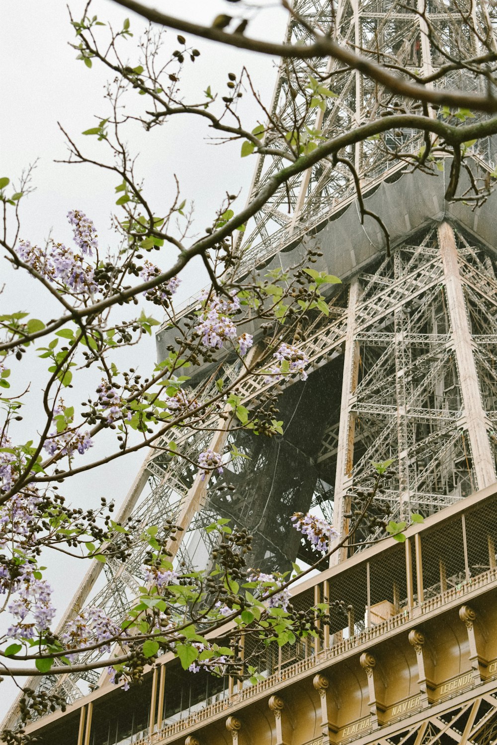 a view of the eiffel tower from below