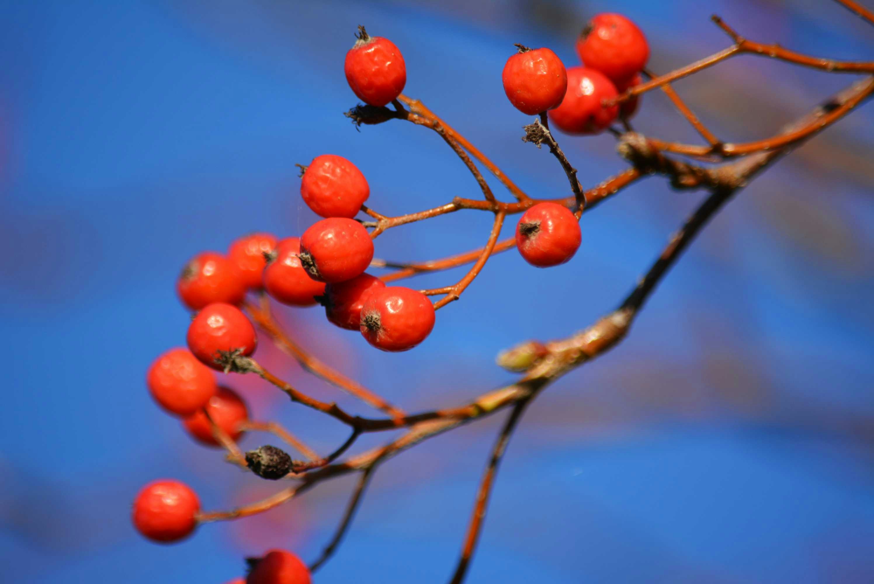 Photo by stefankroeger