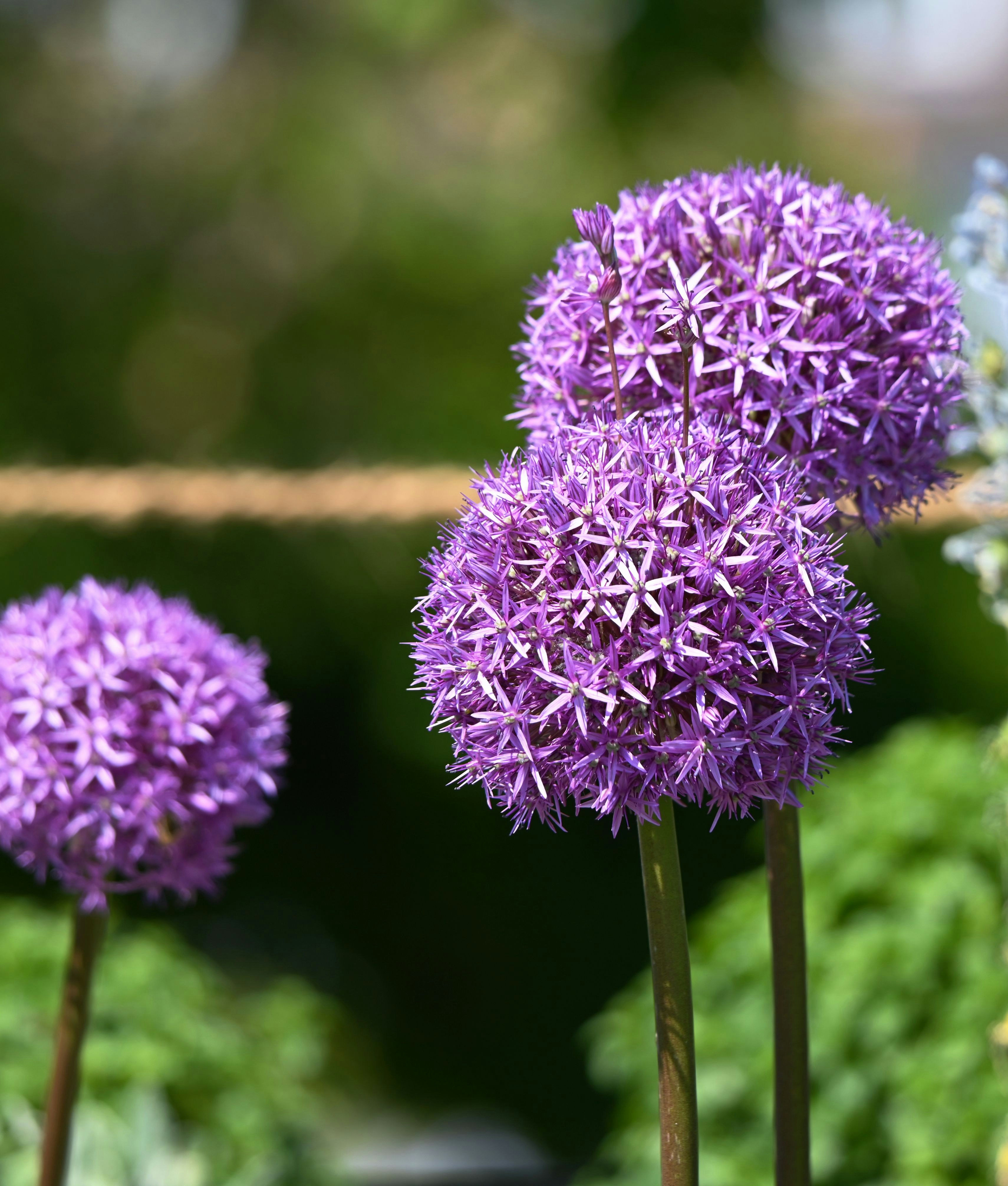 Photo by stefankroeger