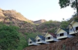 A row of small, elevated cabins with triangular roofs sits along a hill. The cabins have roofs in various shades, including green and red. Behind them is a backdrop of rugged, rocky hills with patches of green vegetation. A large tree with lush green leaves is visible to the left, adding to the natural setting.