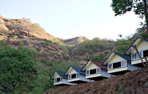 A row of small, elevated cabins with triangular roofs sits along a hill. The cabins have roofs in various shades, including green and red. Behind them is a backdrop of rugged, rocky hills with patches of green vegetation. A large tree with lush green leaves is visible to the left, adding to the natural setting.