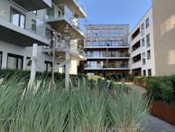 Modern apartment complex with large glass balconies and wooden paneling. The courtyard features lush greenery with ornamental grasses and young trees against a clear blue sky.