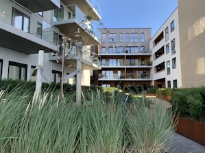 Modern apartment complex with large glass balconies and wooden paneling. The courtyard features lush greenery with ornamental grasses and young trees against a clear blue sky.