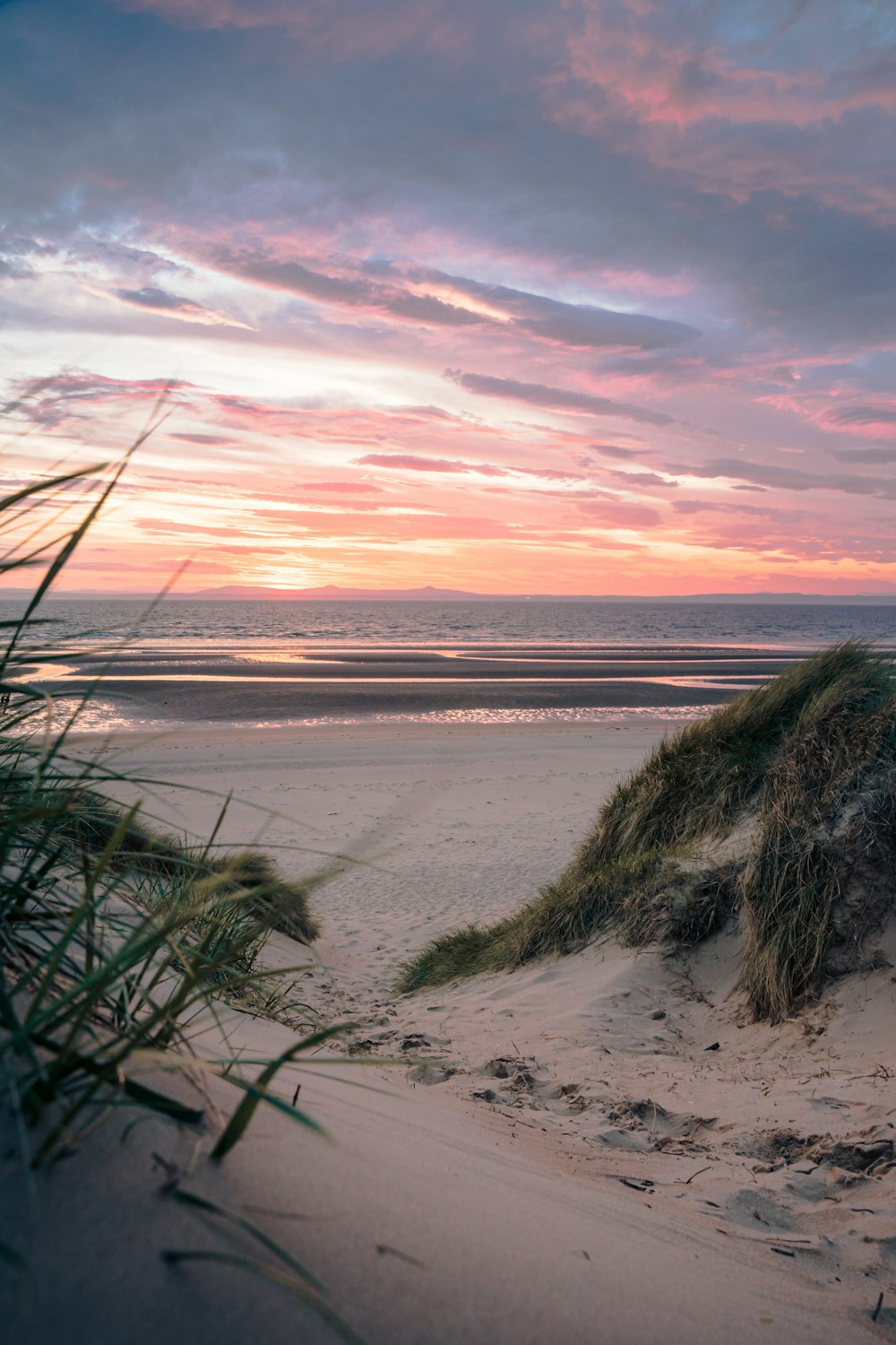 a sandy beach with grass growing out of the sand