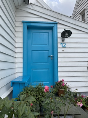 Exterior front door with a fresh coat of deep blue paint and updated hardware.