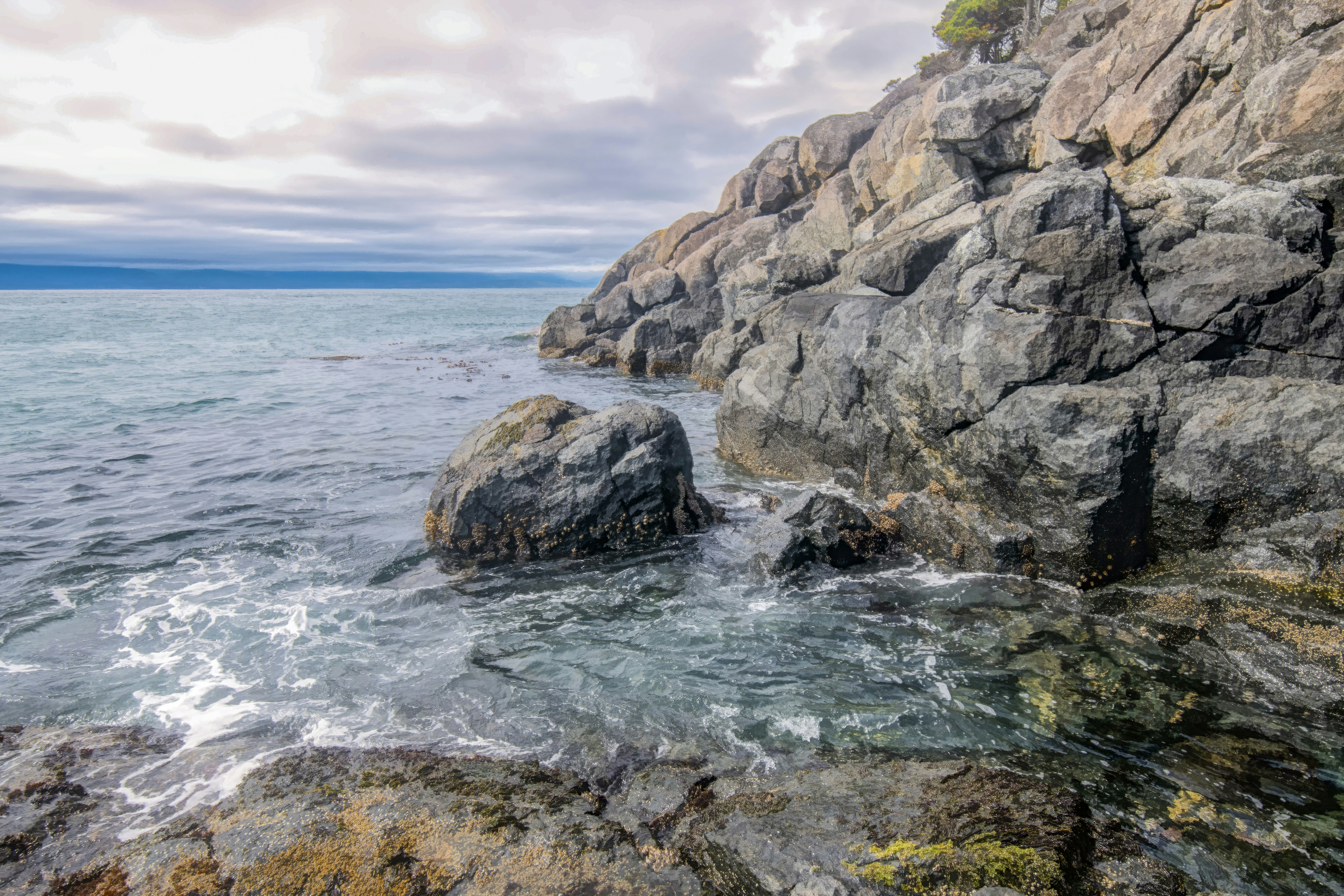 Photo by blisterpack22