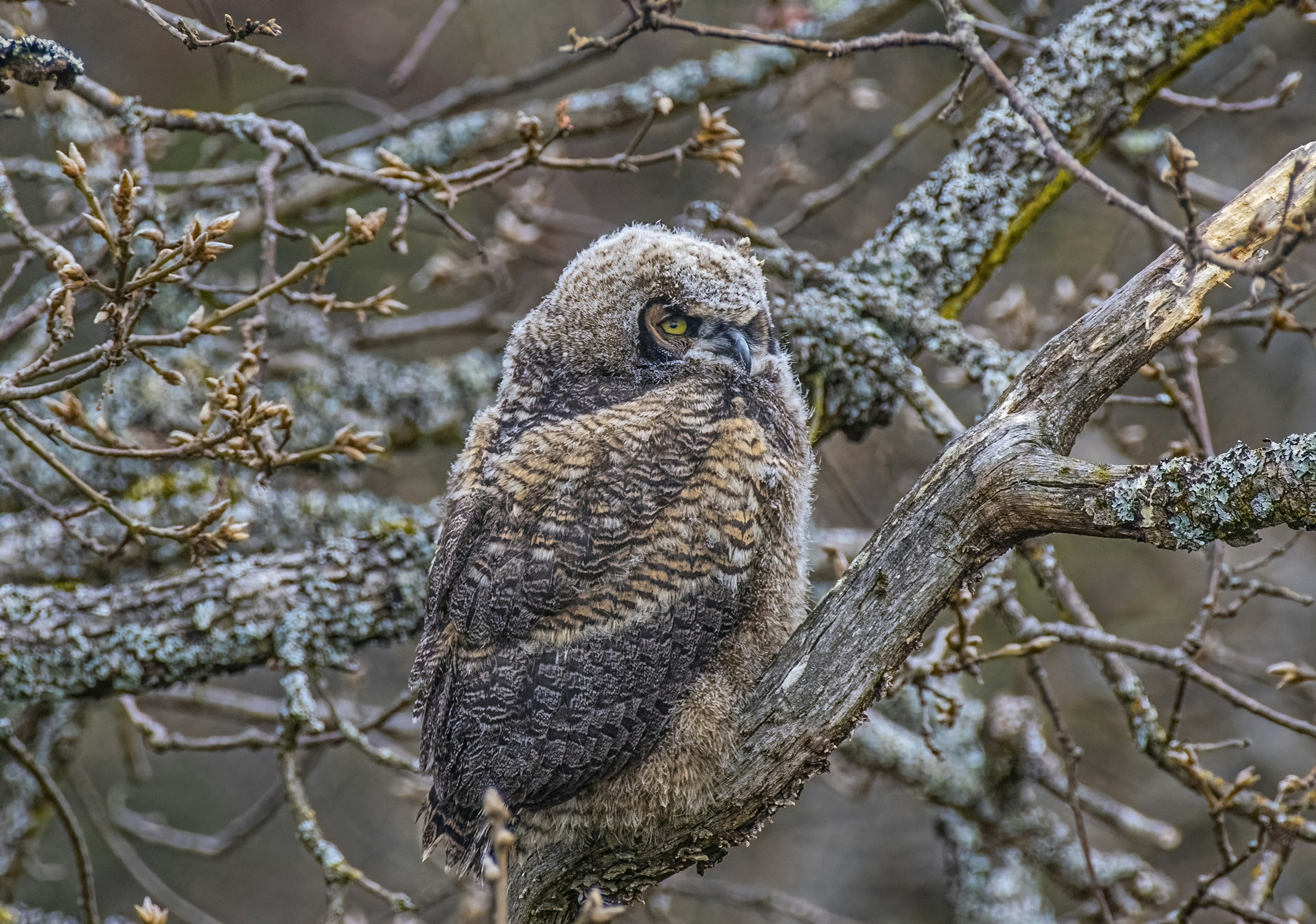 Photo by blisterpack22