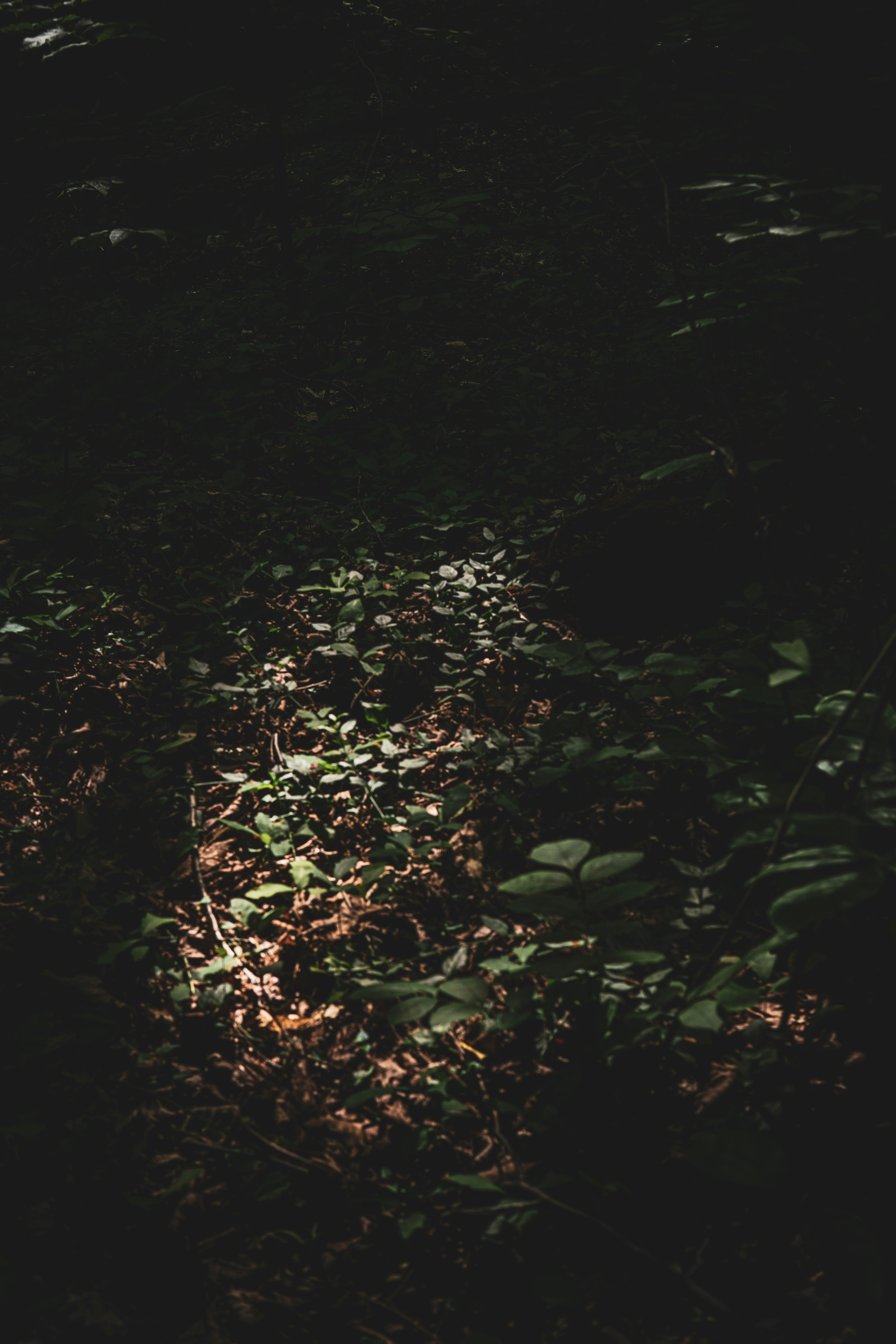 Photo by keepitchassephotography