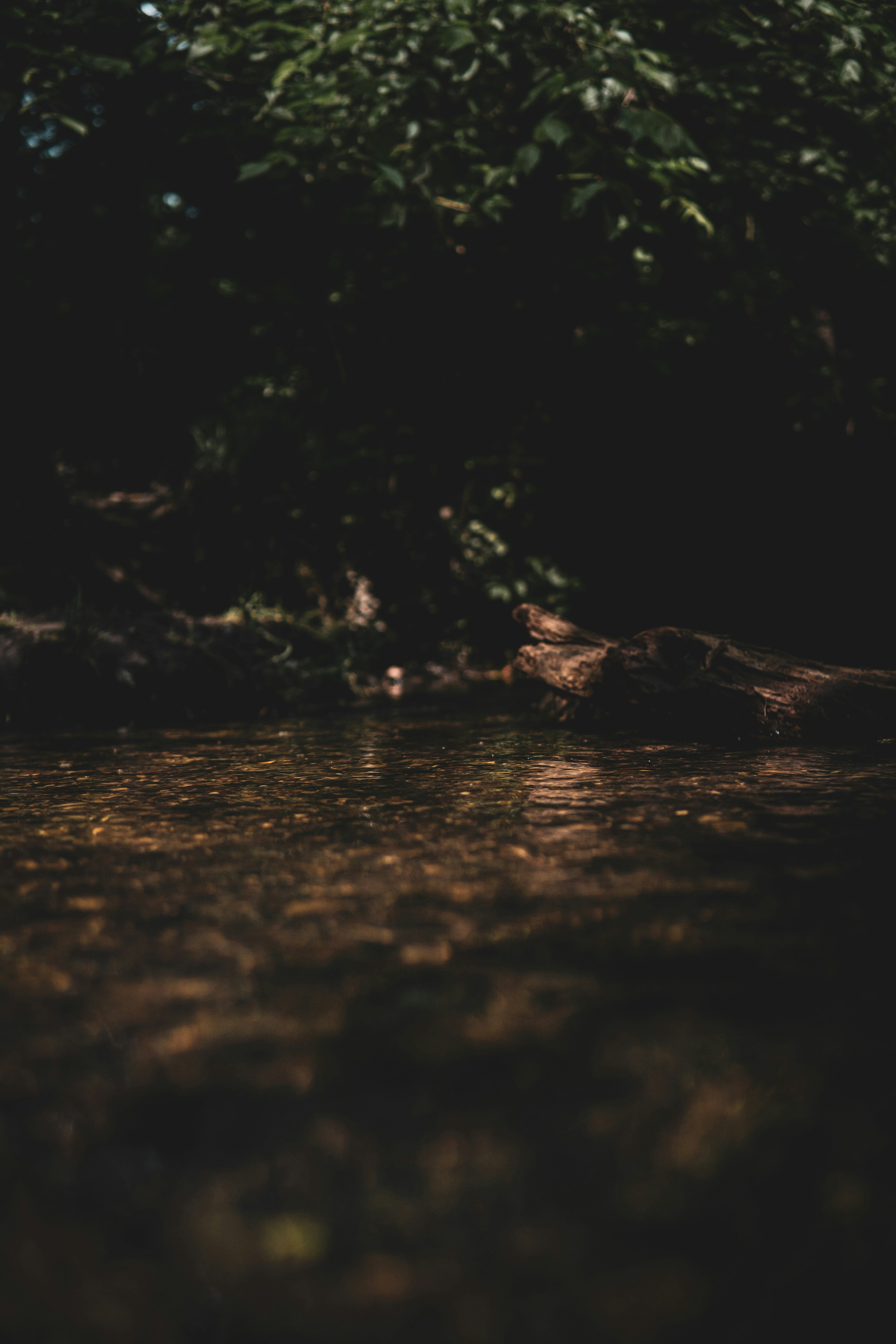 Photo by keepitchassephotography