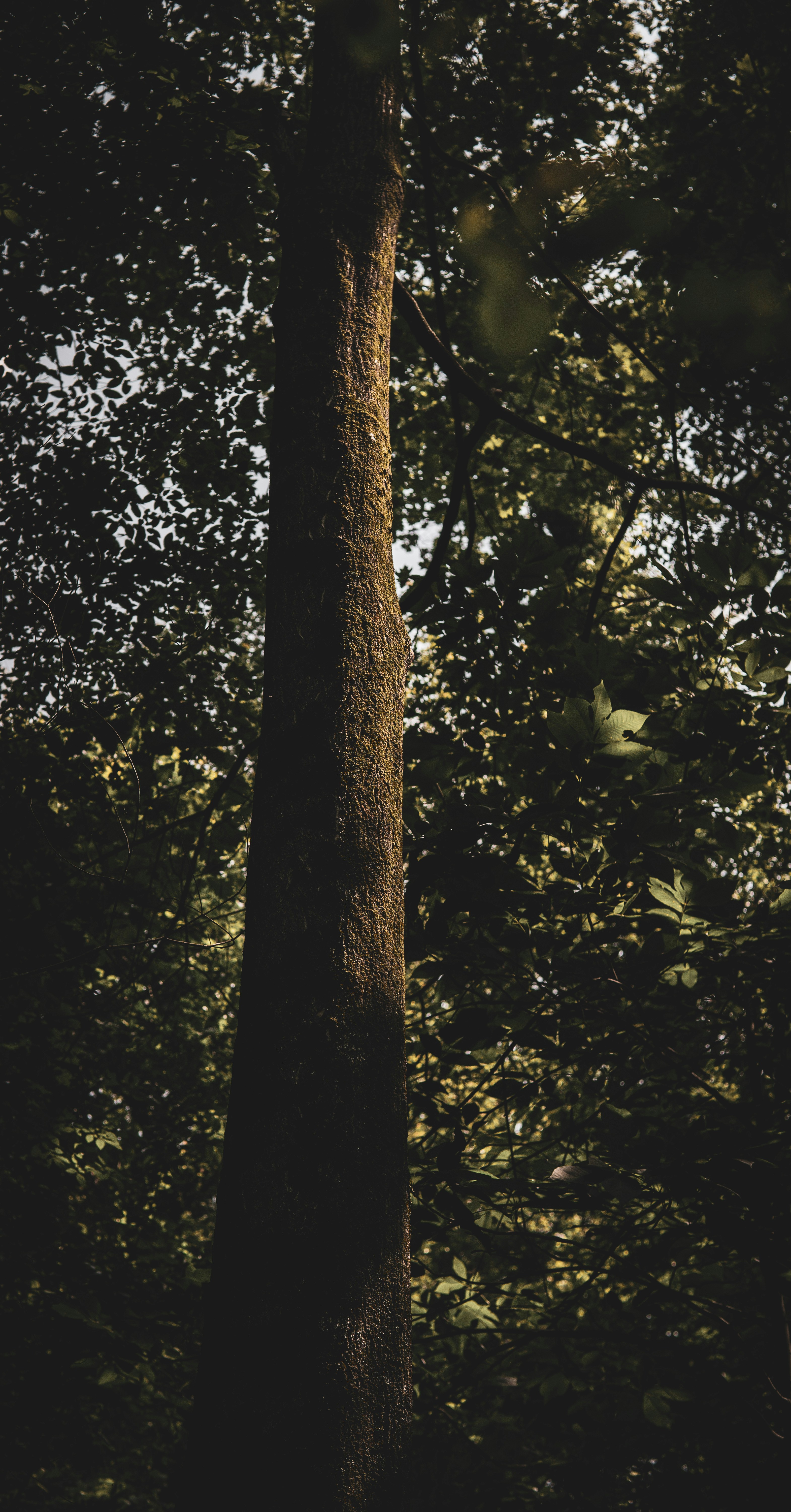 Photo by keepitchassephotography