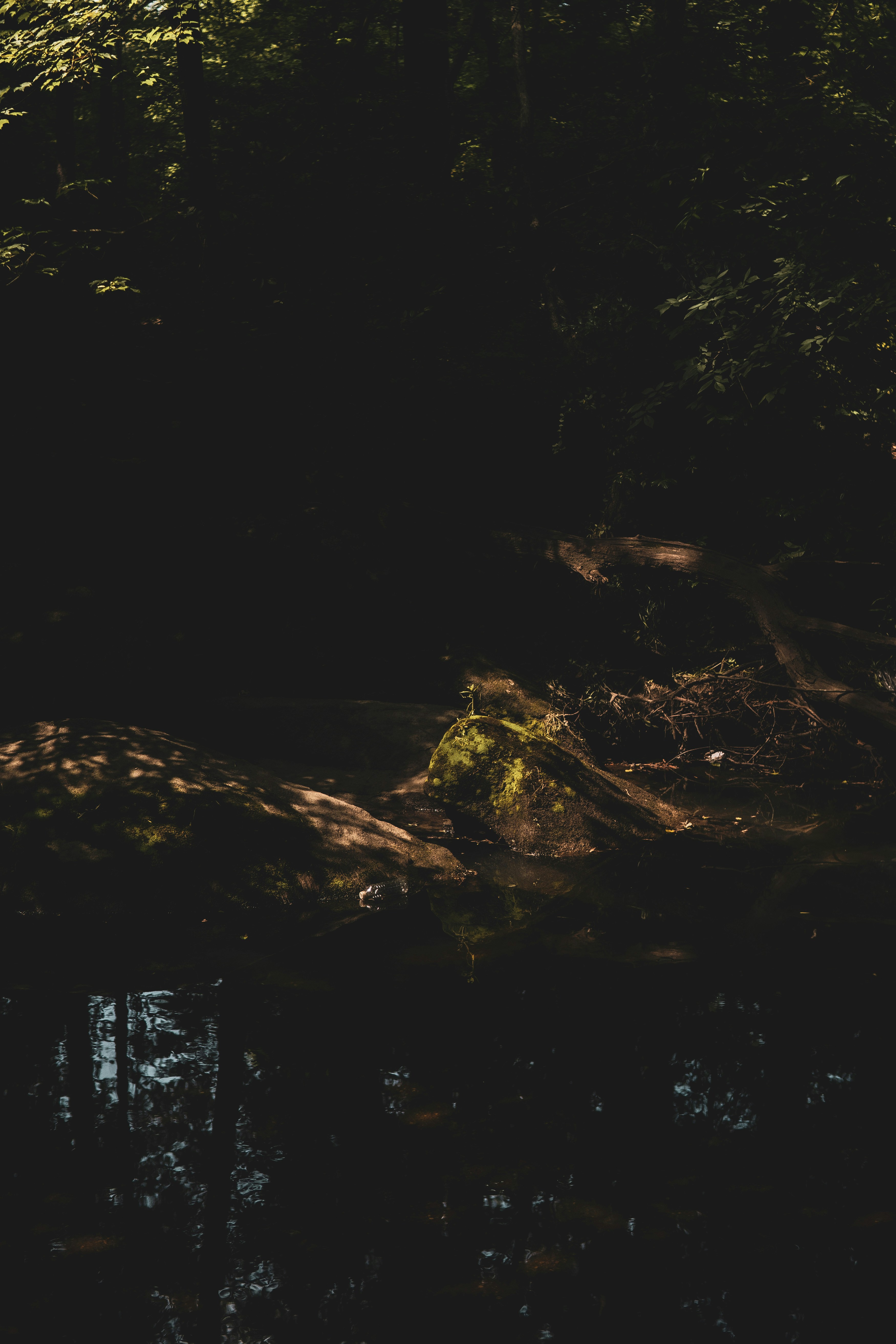 Photo by keepitchassephotography