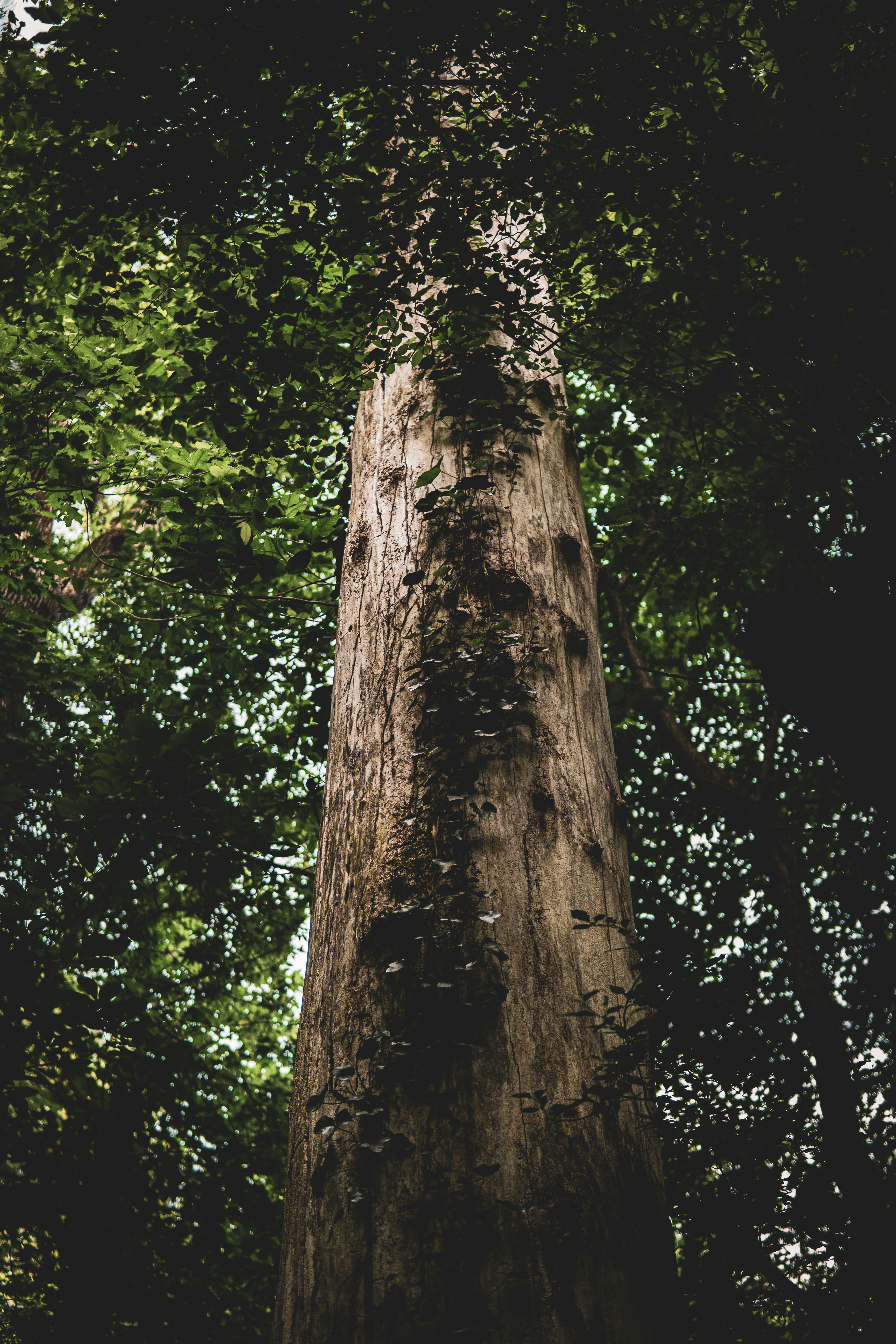 Photo by keepitchassephotography