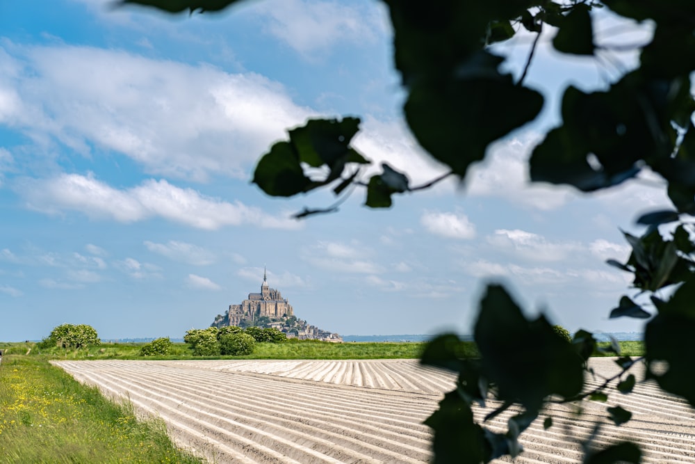 a large field with a castle in the background