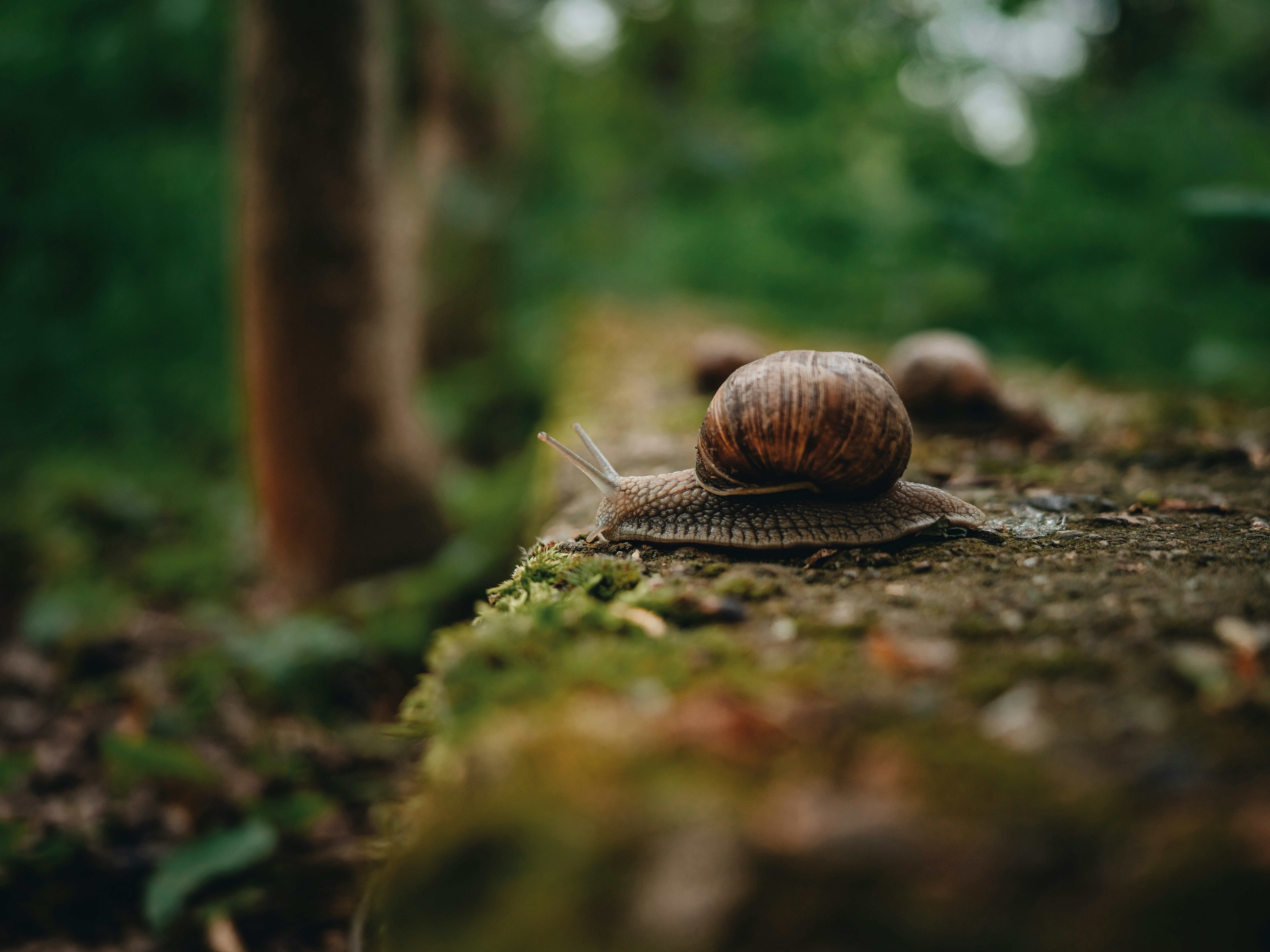 Photo by egorkomarov