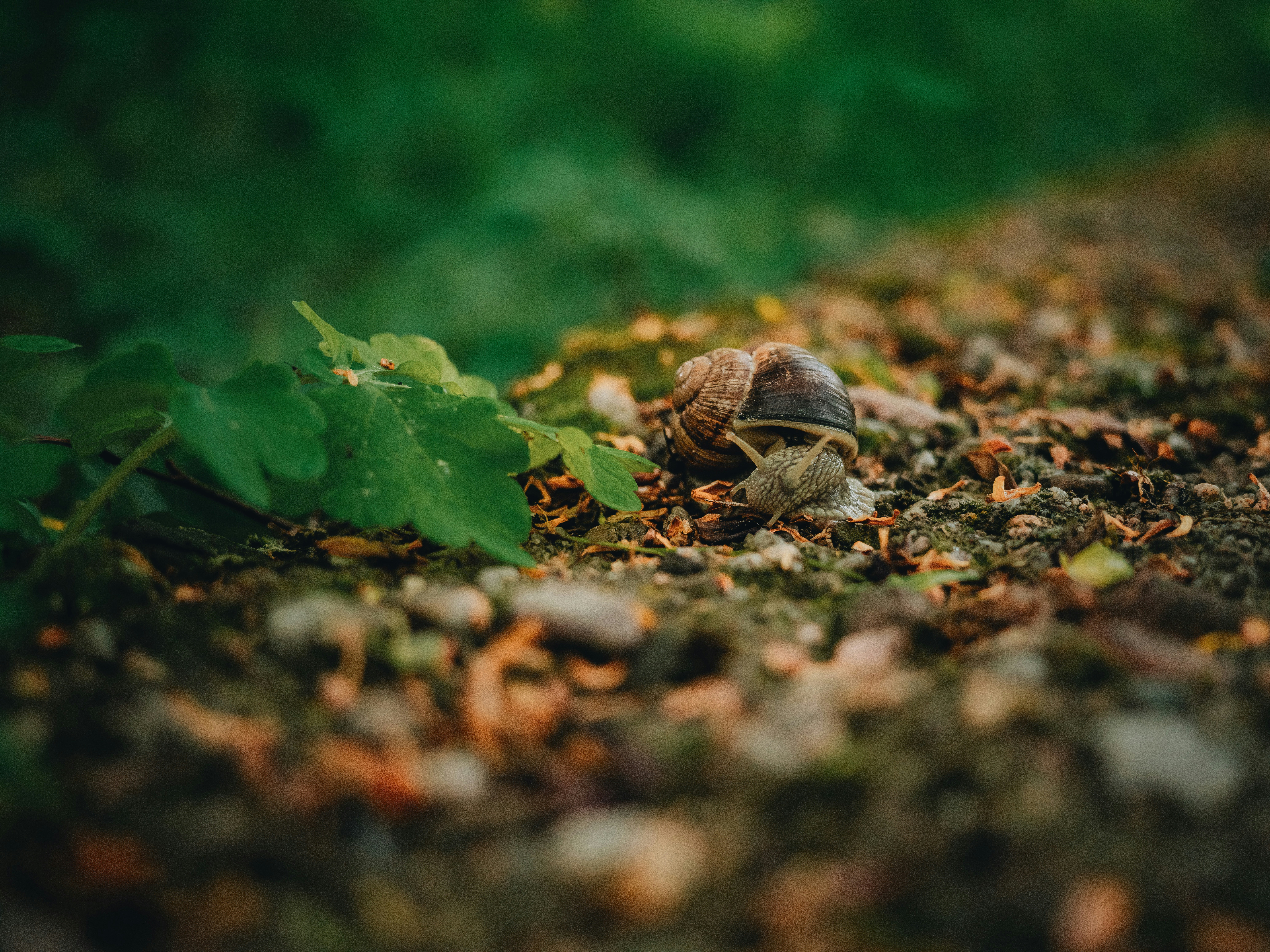 Photo by egorkomarov