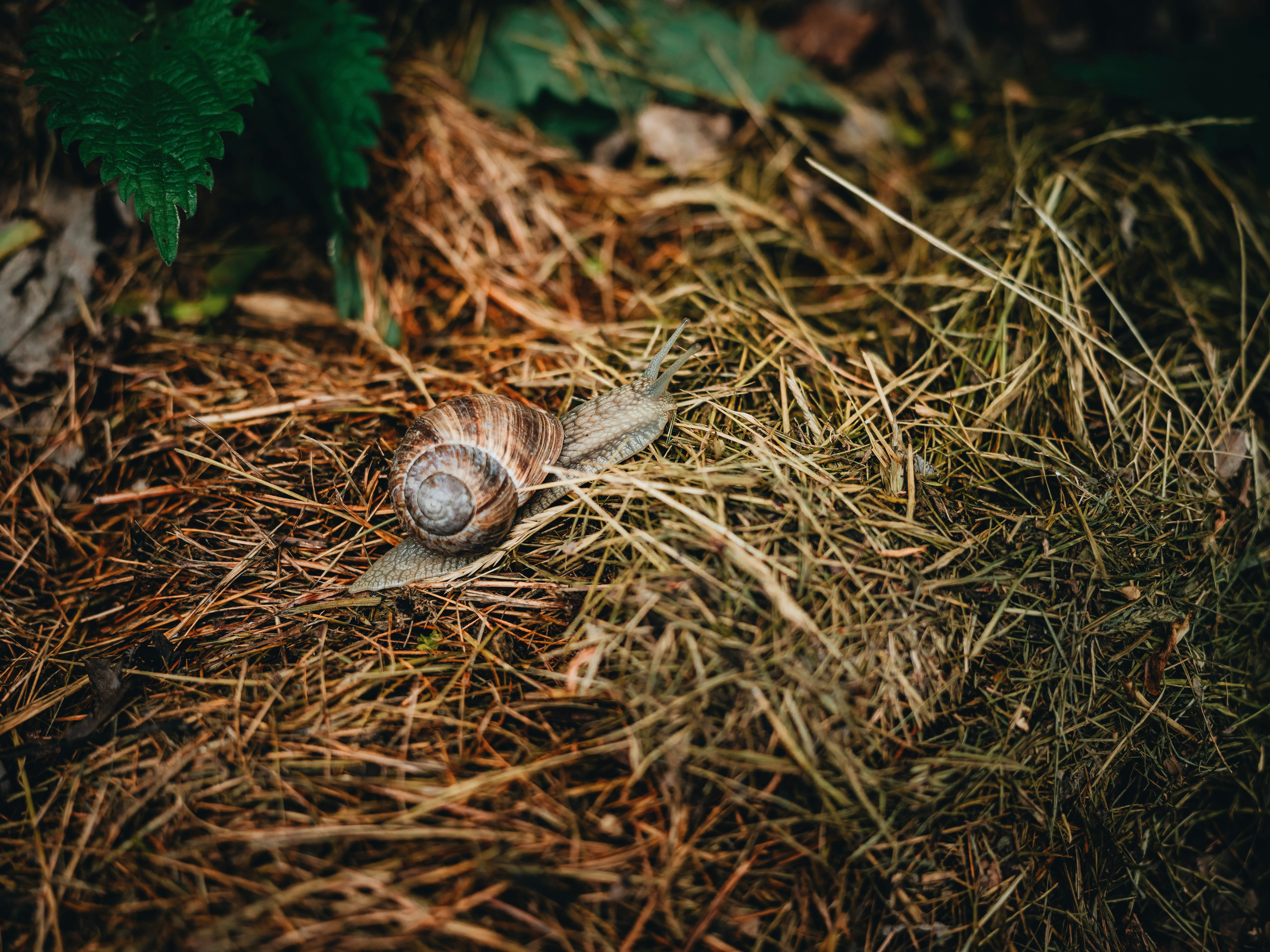 Photo by egorkomarov