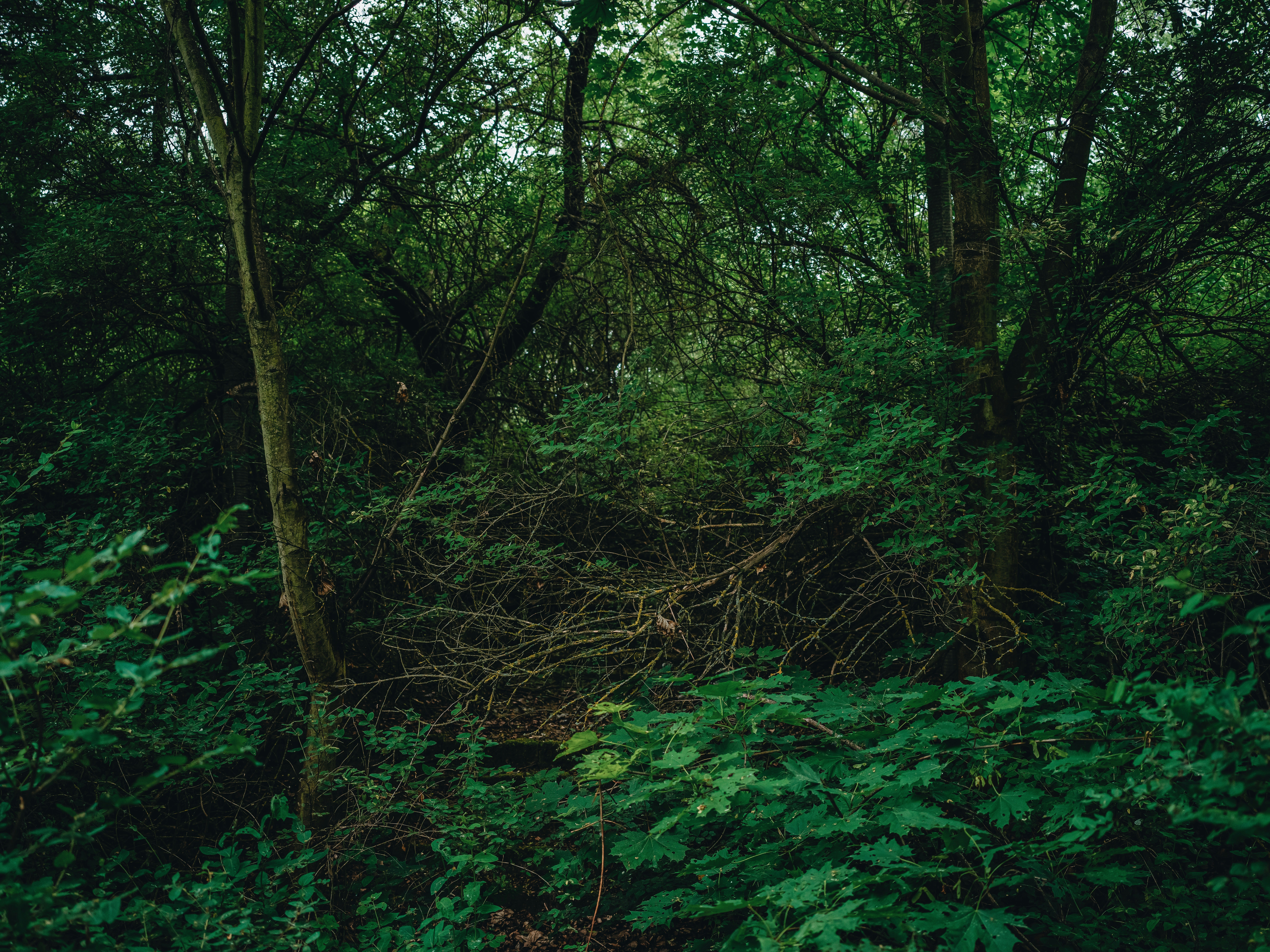 Photo by egorkomarov