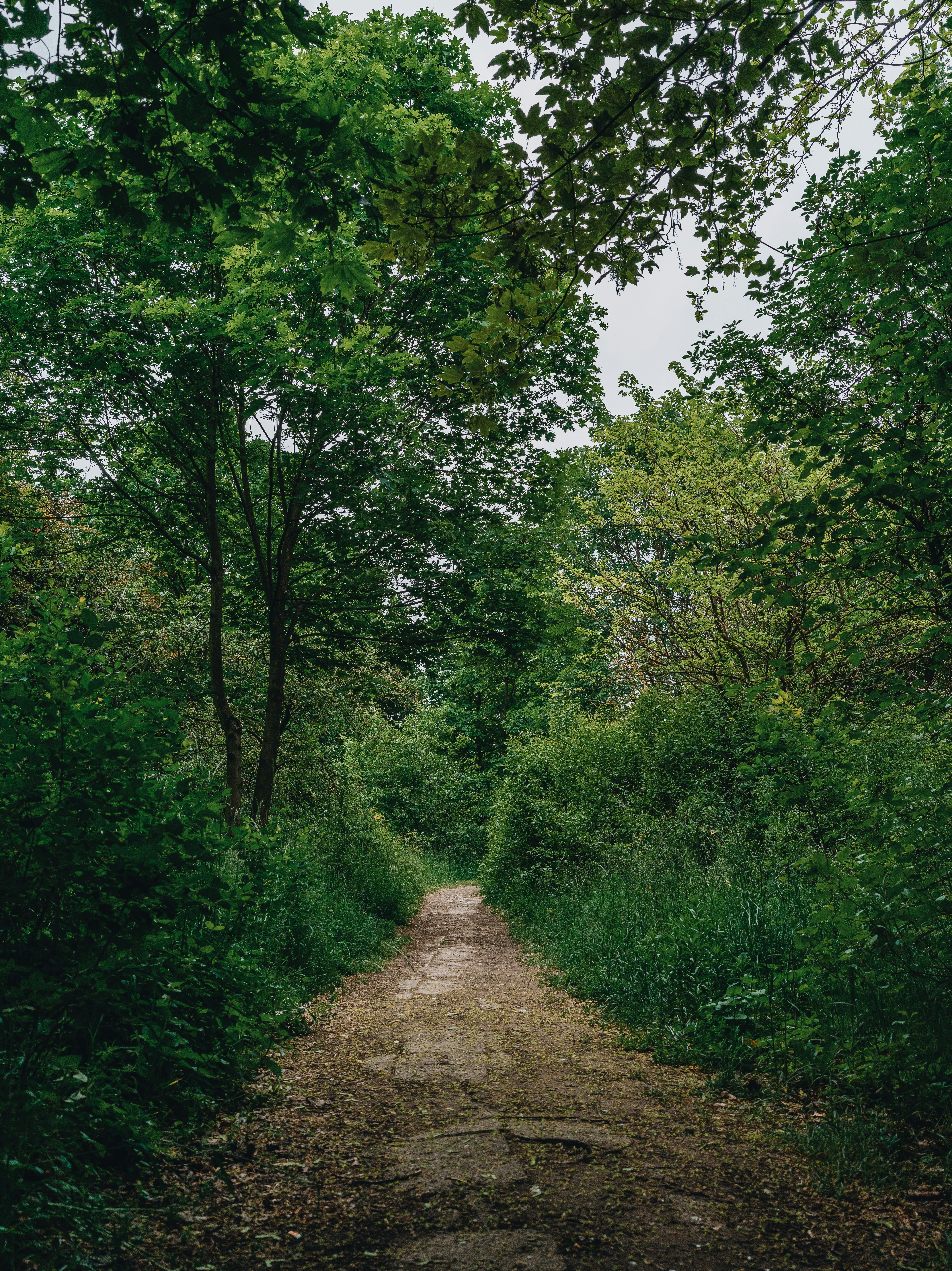 Photo by egorkomarov